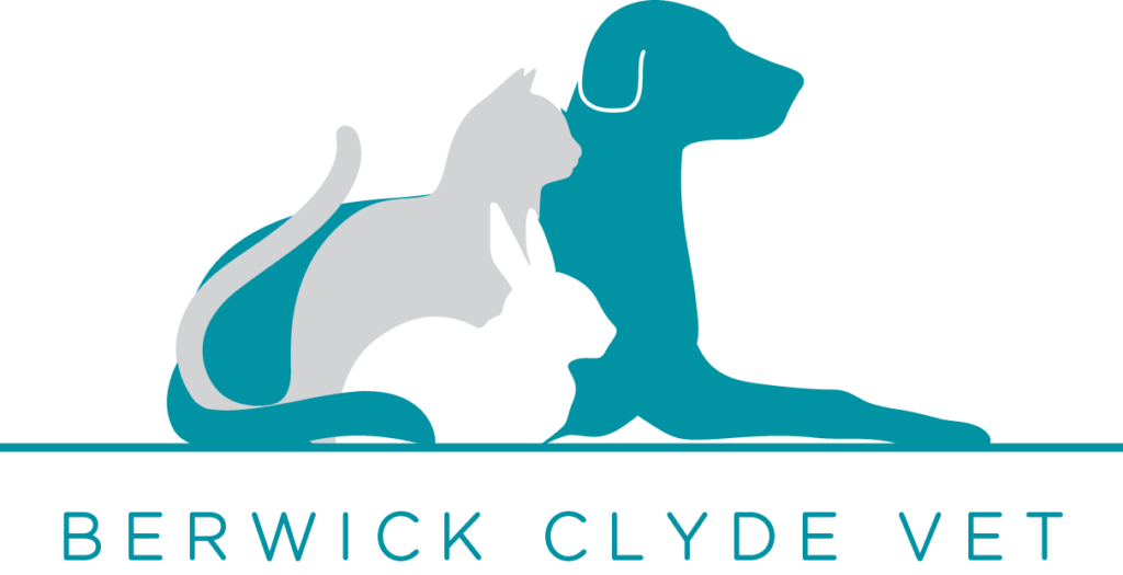 Your Trusted Pet Care Partner | Berwick Clyde Vet