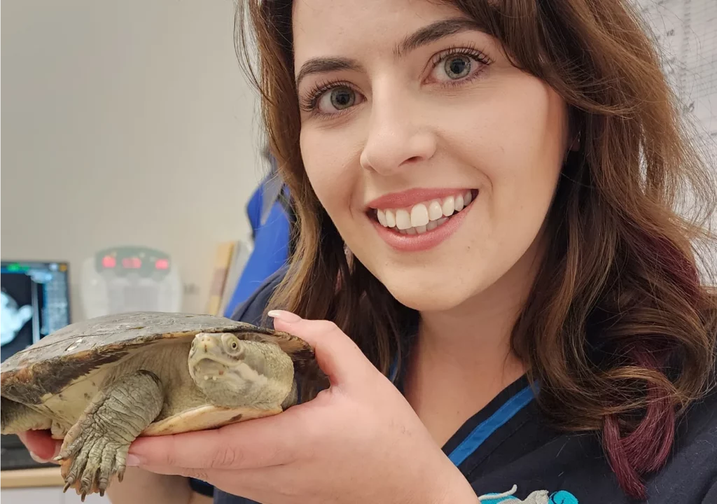 Expert Wildlife Veterinary Services Berwick Clyde Vet