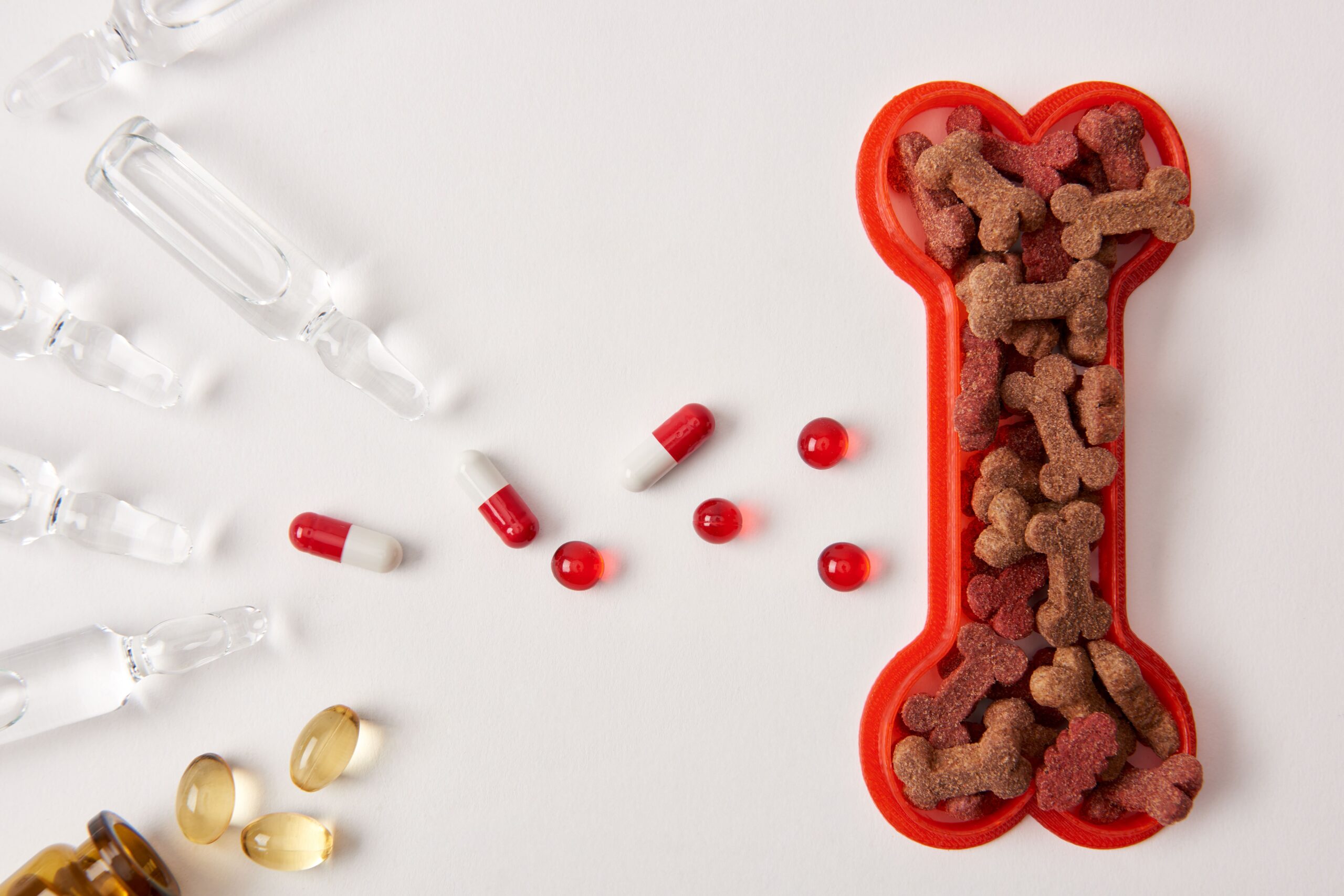 dog-food-and-pet-medication